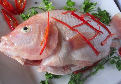 FROZEN RED TILAPIA WHOLE ROUND 